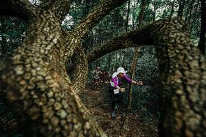 BIB: 
                            <button type="button" onclick="openModal(25393180)" class="btn btn-primary btn-sm float-right btn-popup" data-toggle="modal" data-target=".modal-high-quality">
                        <i class="fas fa-shopping-cart"></i> Add to Cart
                    </button>
                                            <button type="button" onclick="isThisMe(25393180, true)" class="btn btn-success btn-sm float-right btn-popup btn-isme hidden" data-toggle="tooltip" data-placement="bottom" title="นี่คือรูปของคุณใช่ไหม คลิกที่นี่เพื่อเอาเข้าอัลบั้ม">
                        <i class="fas fa-plus"></i> Add to album
                    </button>
                    <button type="button" onclick="isThisMe(25393180, false)" class="btn btn-warning btn-sm float-right btn-popup btn-isnotme hidden">
                        <i class="fas fa-ban"></i> Remove from album
                    </button>